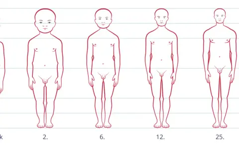 Ilustracja pokazuje rozwój sylwetki od noworodka do 25. roku życia, ukazując, kiedy dziecko rośnie najszybciej.